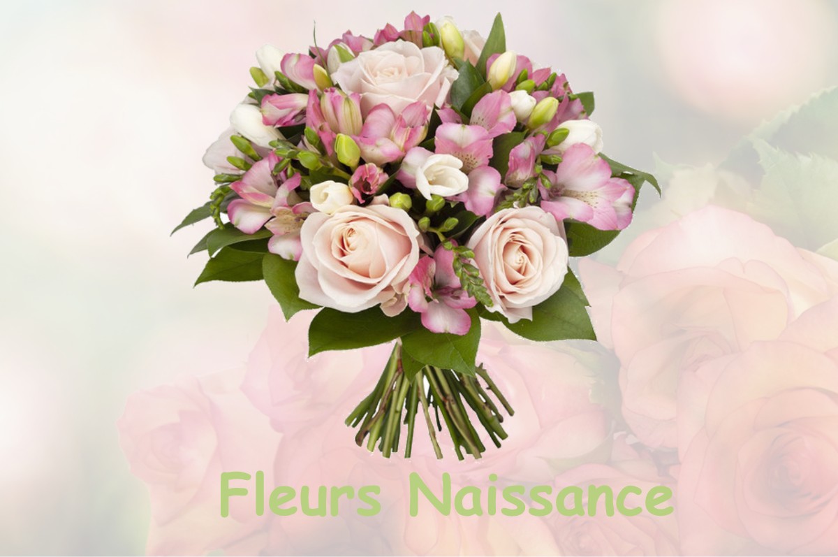 fleurs naissance BIZONNES