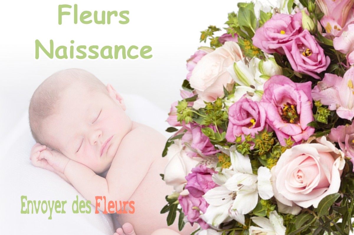 lIVRAISON FLEURS NAISSANCE à BIZONNES